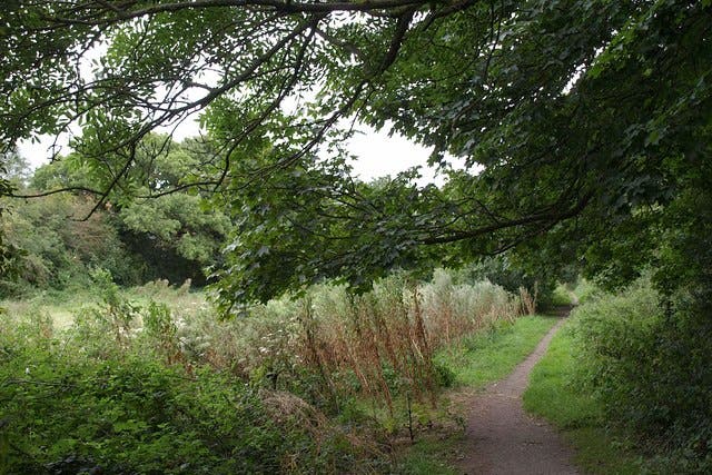 Boy, 12, drowns in river in north-east London