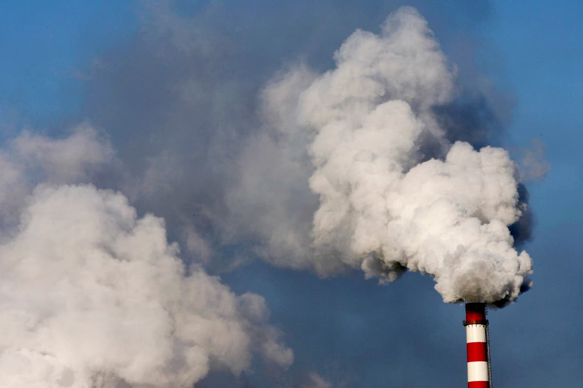 Europe and China carbon emissions lowest since Covid lockdown amid ...