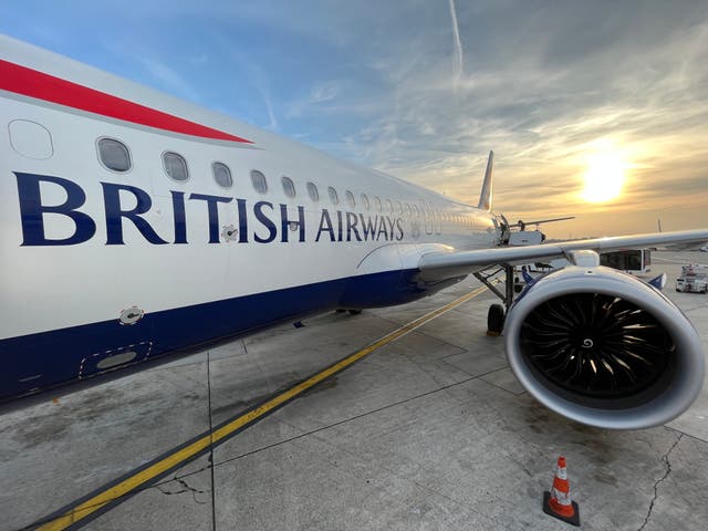 <p>British Airways plane at Milan Linate airport, the subject of the test case </p>