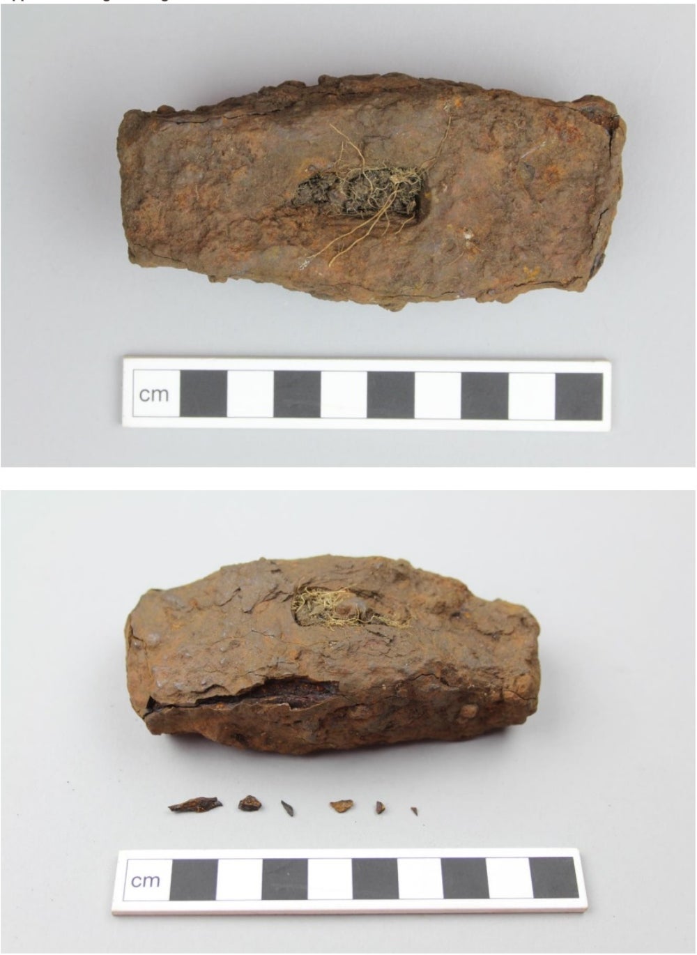 An iron hammer was recovered (Crown Office/PA)