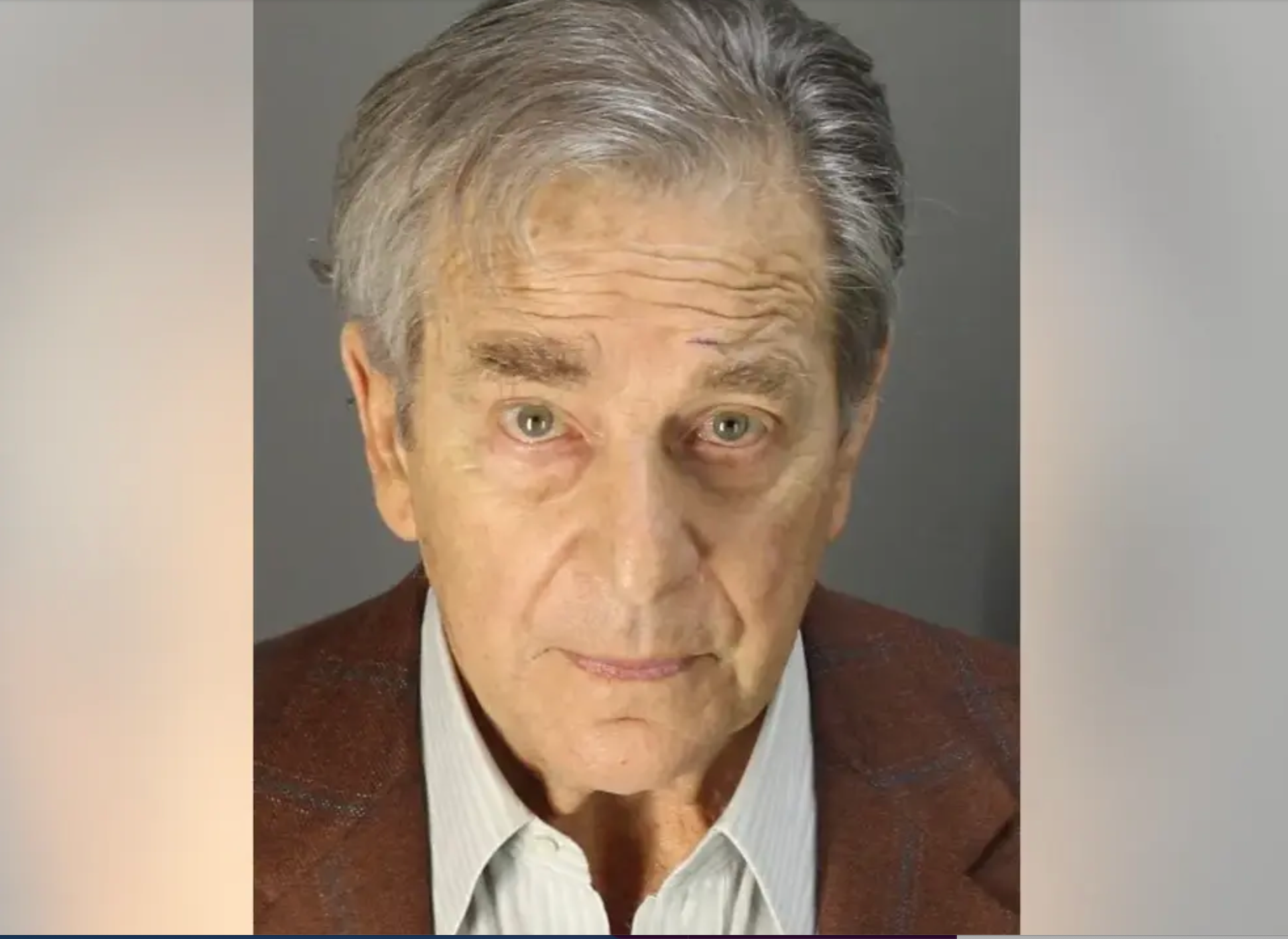 Booking photo shows Paul Pelosi after he was booked for DUI on 29 May 2022