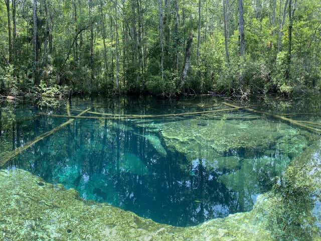 <p>The lake in Chassahowitzka Wildlife Park, Florida, where the divers were found </p>