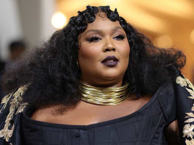 <p>Lizzo will donate proceeds from her upcoming tour</p>