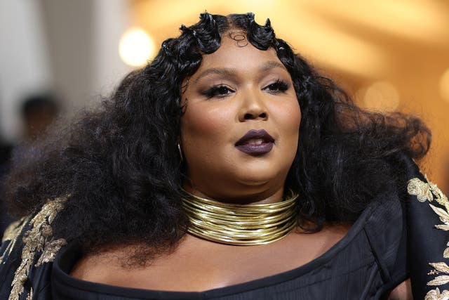 <p>Lizzo will donate proceeds from her upcoming tour</p>
