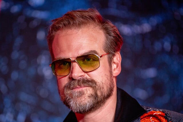 <p>David Harbour pictured in May 2022</p>