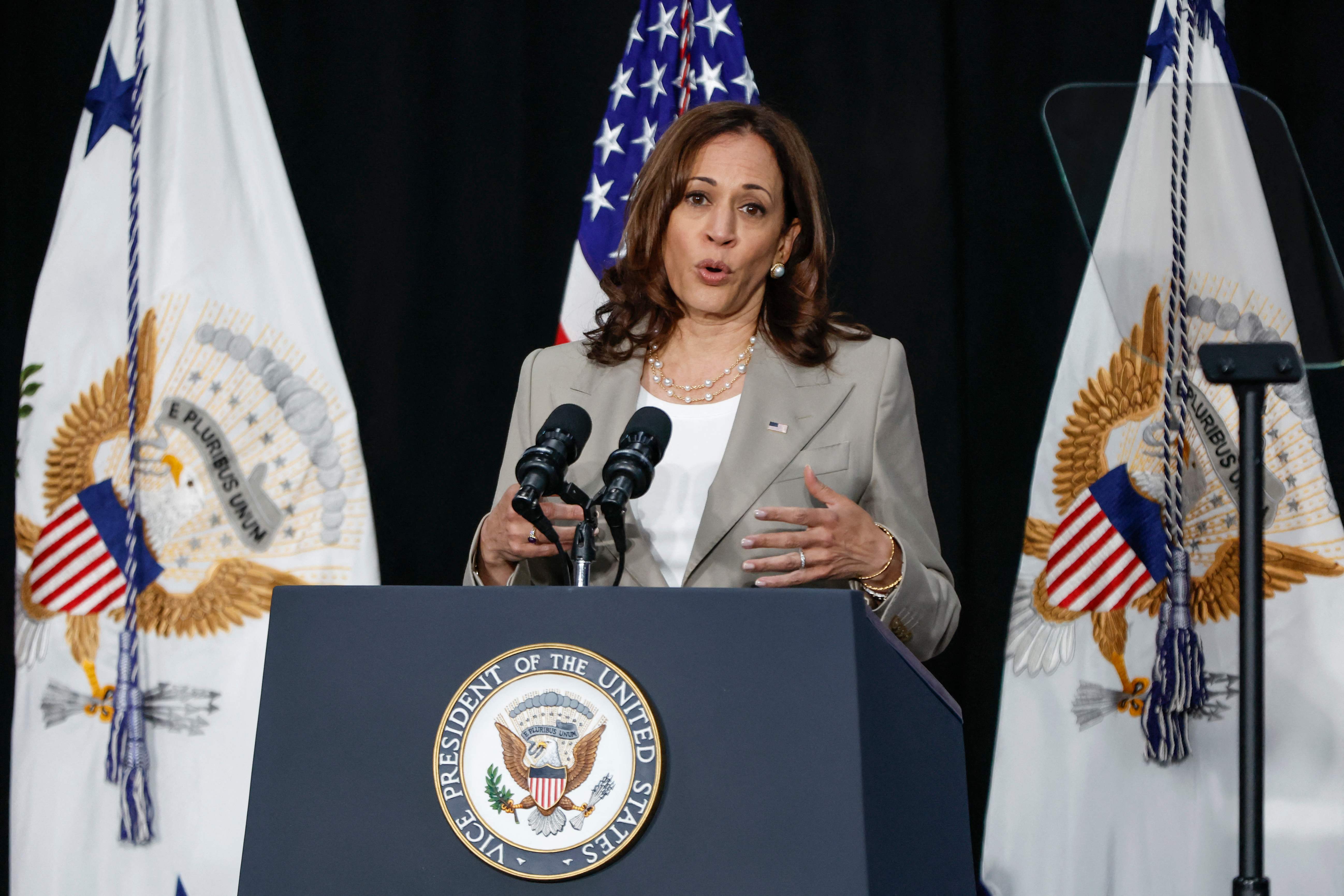 Vice President Kamala Harris announces a White House plan to support maternal health on 24 June.