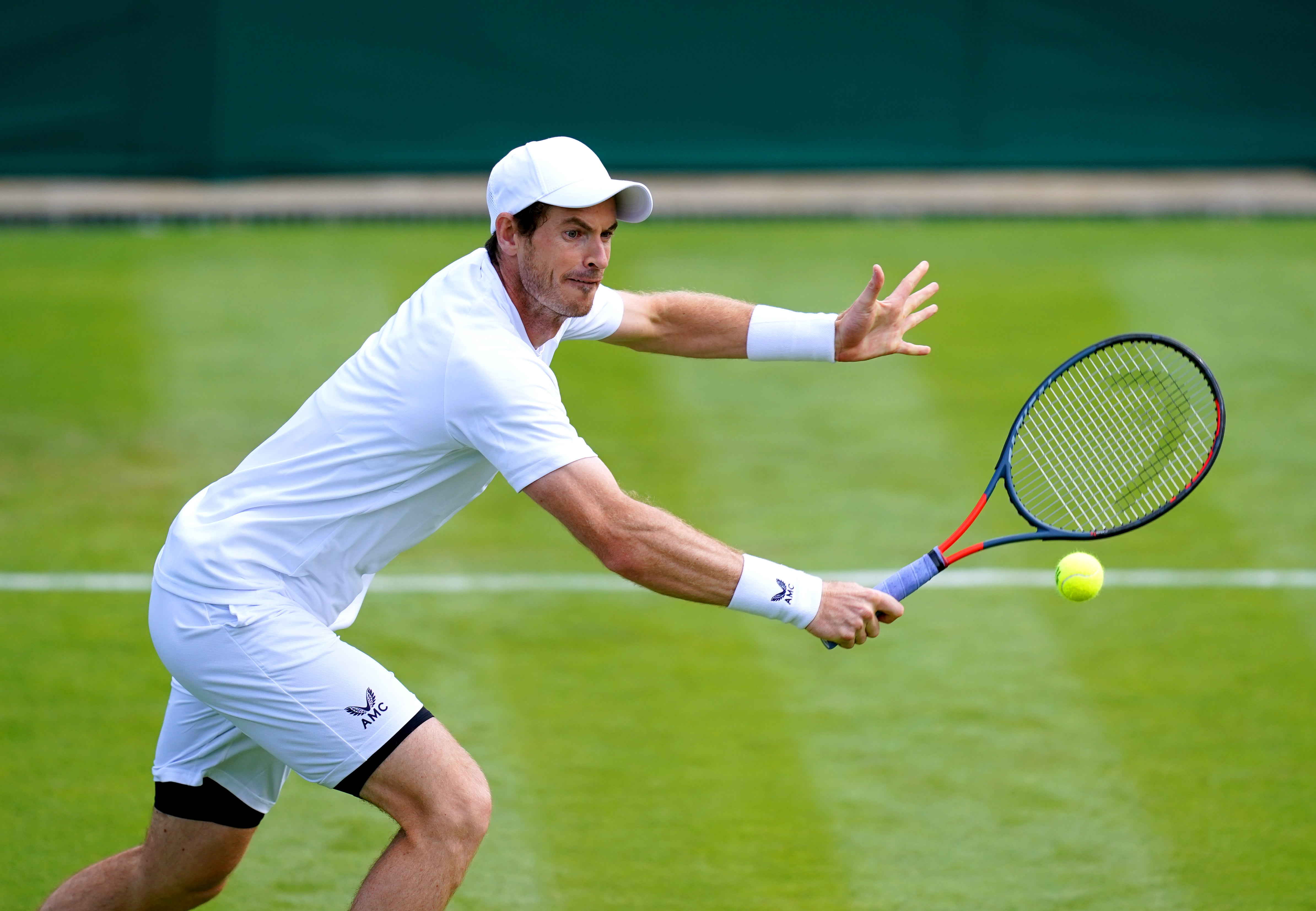 Andy Murray has been in fine form on the grass (John Walton/PA)