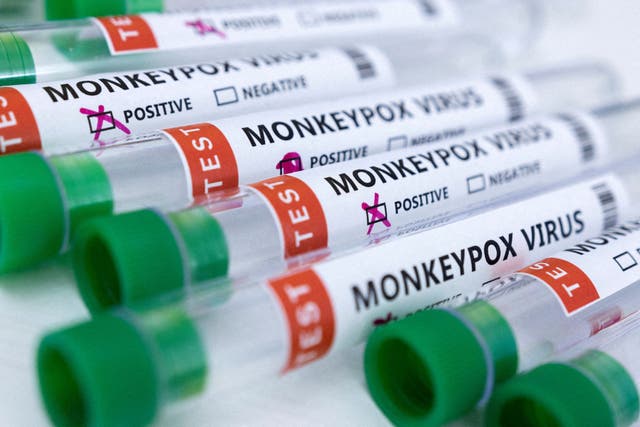 <p>The number of confirmed monkeypox cases in the UK has exceeded 2,100 </p>
