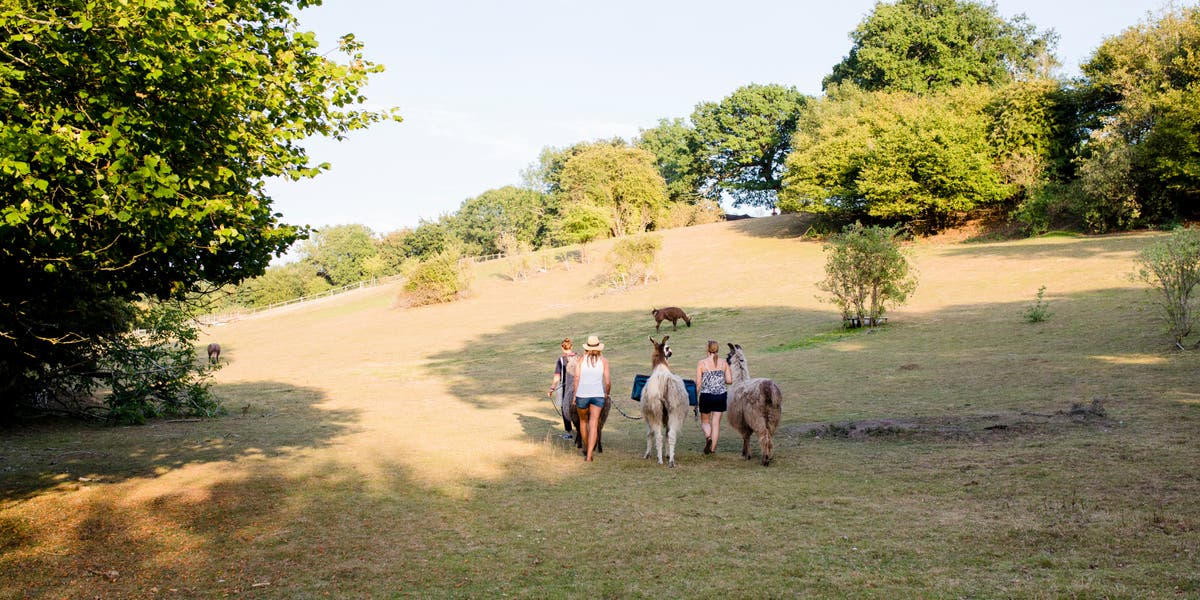 Best hotels in Surrey 2022: Where to stay for comfort and adventure