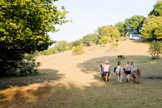 Best hotels in Surrey 2023: Where to stay for comfort and adventure