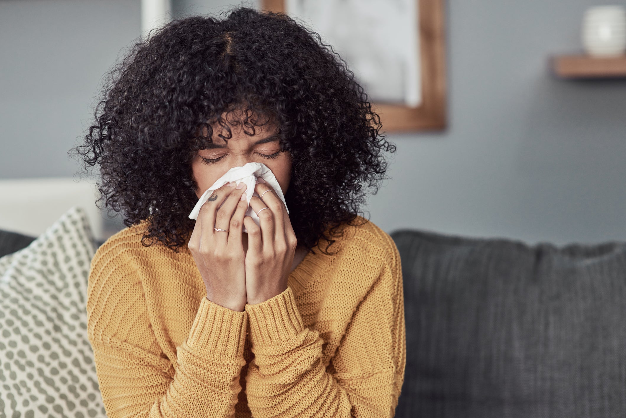 Hay fever is an allergy to pollen or dust