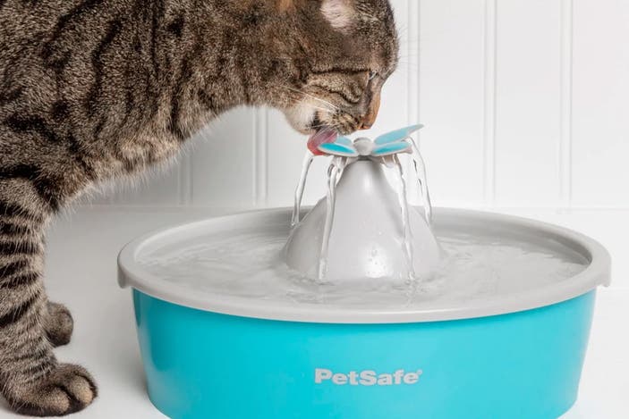 PetSafe drinkwell butterfly pet fountain