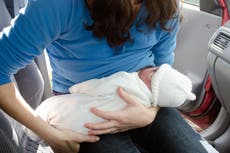 Sainsbury’s staffer told new mother it was ‘inappropriate’ to breastfeed in car park