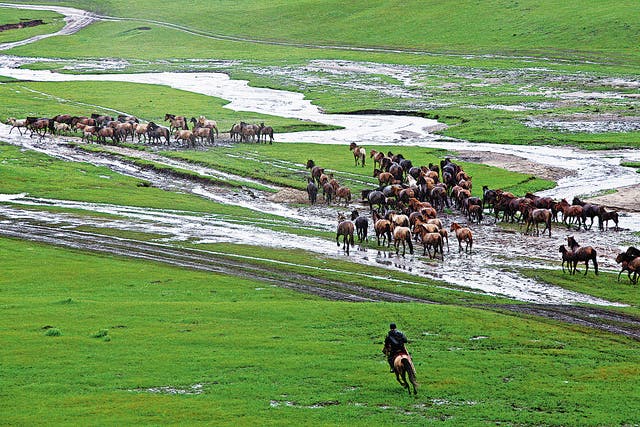 <p> Ar Horqin Grassland Nomadic System in North China’s Inner Mongolia autonomous region demonstrates the wisdom of herdsmen to work in harmony with nature </p>