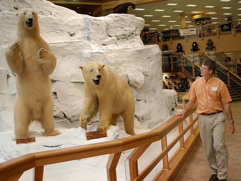 ‘Game trophies’ of polar bears