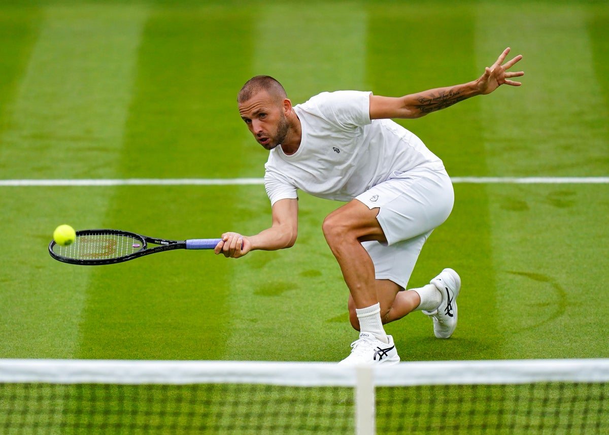 ‘I can have a party on my own’: Dan Evans fails to add to British successes at Wimbledon