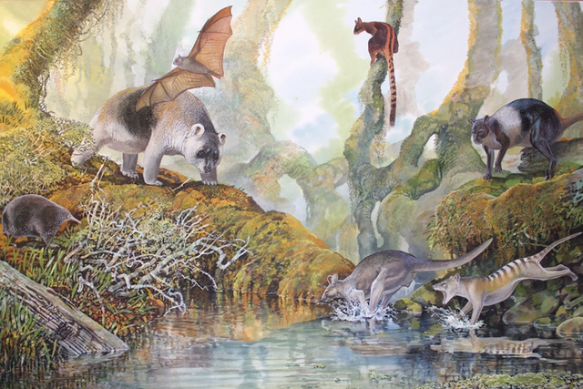 <p>Artist’s impression of Nombe Rockshelter megafauna, showing the ‘Nombe nombe’ kangaroo on the bottom right</p>