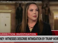 Cassidy Hutchinson’s life will ‘never be the same’ after bombshell Jan 6 testimony, says ex-Trump official