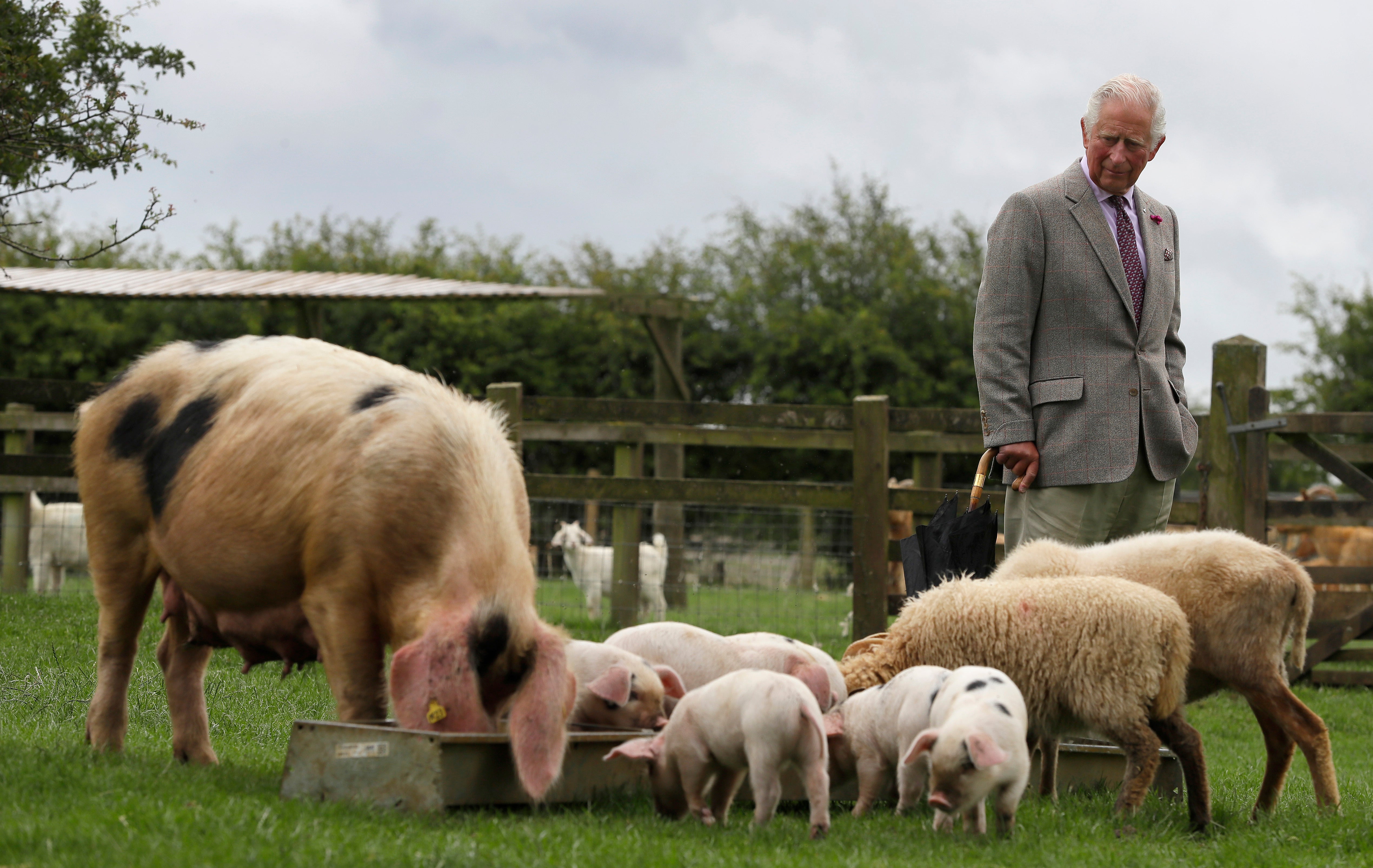 The Prince of Wales (Kirsty Wigglesworth/PA)