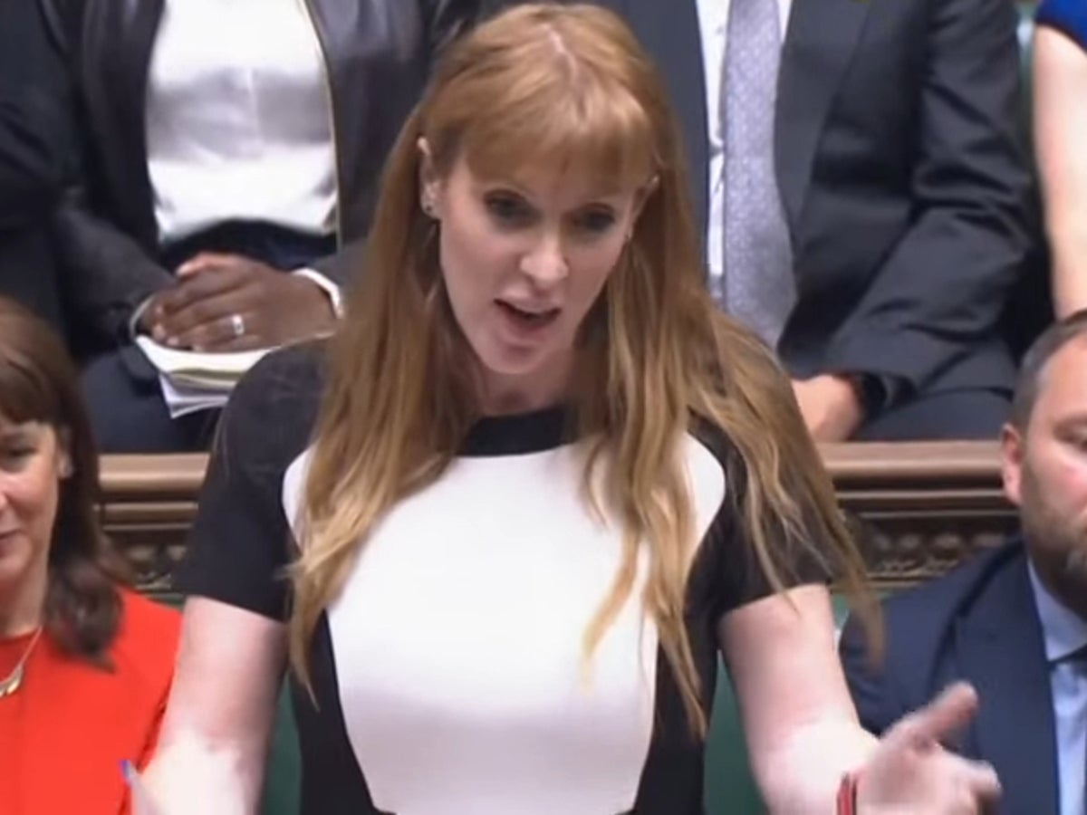 Dominic Raab criticises ‘champagne socialist’ Angela Rayner for going to opera