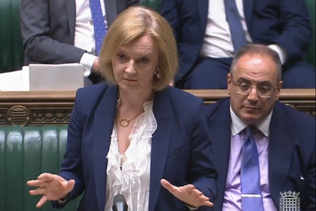Foreign Secretary Liz Truss’s comments on the Northern Ireland Protocol Bill have left one lawyer ‘aghast’ (House of Commons/PA)