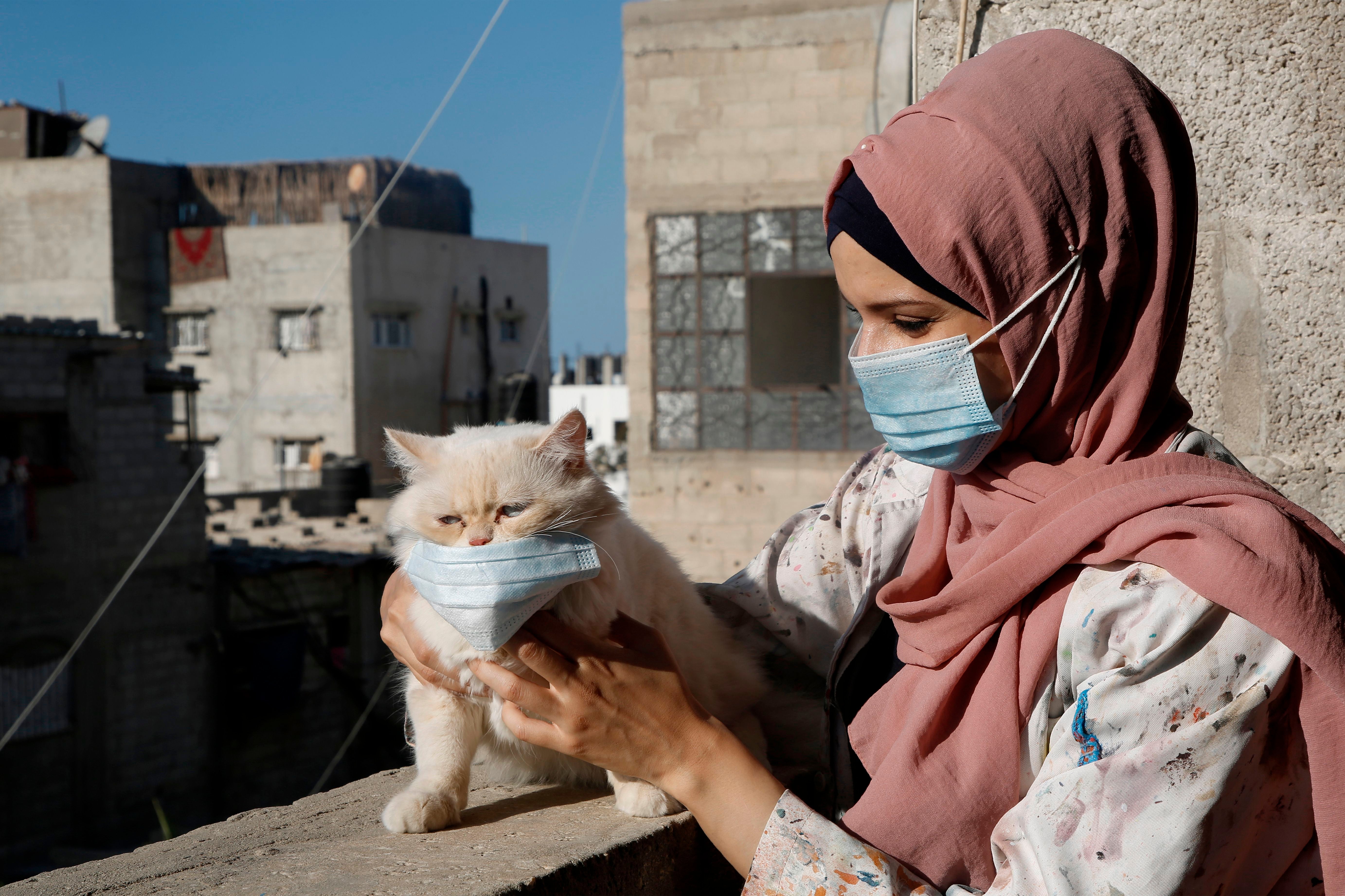 Palestinian artist Khulud al-Desouki pets a cat during lockdown at home in Khan Yunis in the southern Gaza Strip