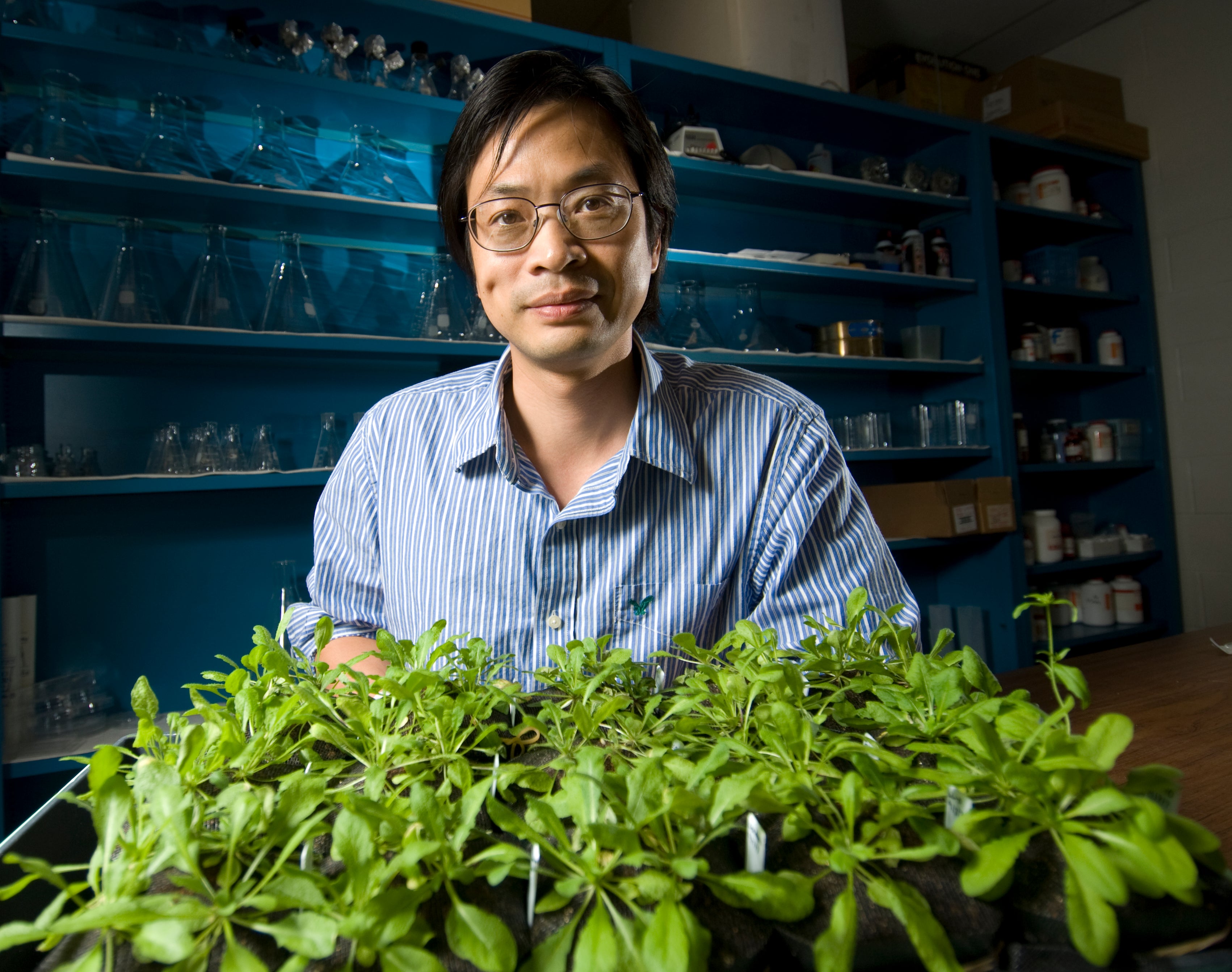 <p>Sheng-Yang He from Duke University, who worked on the project to make thale cress more able to withstand heat pressures</p>