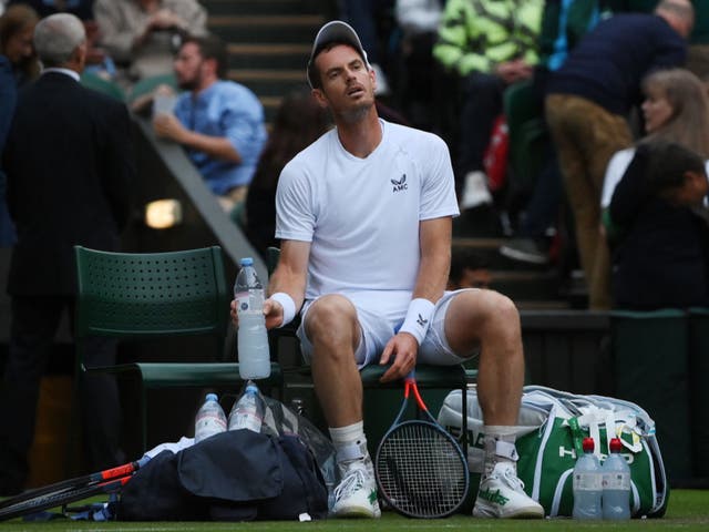 <p>Andy Murray reacciona al cierre del techo de la pista central</p>