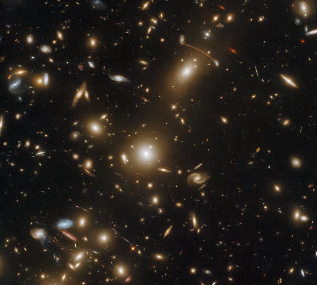 <p>An image of the distant galaxy cluster Abell 1351 taken by the Hubble Space Telescope</p>