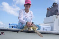 Meet the marine biologist whose video pulling a straw from a sea turtle’s nostril sparked a global movement