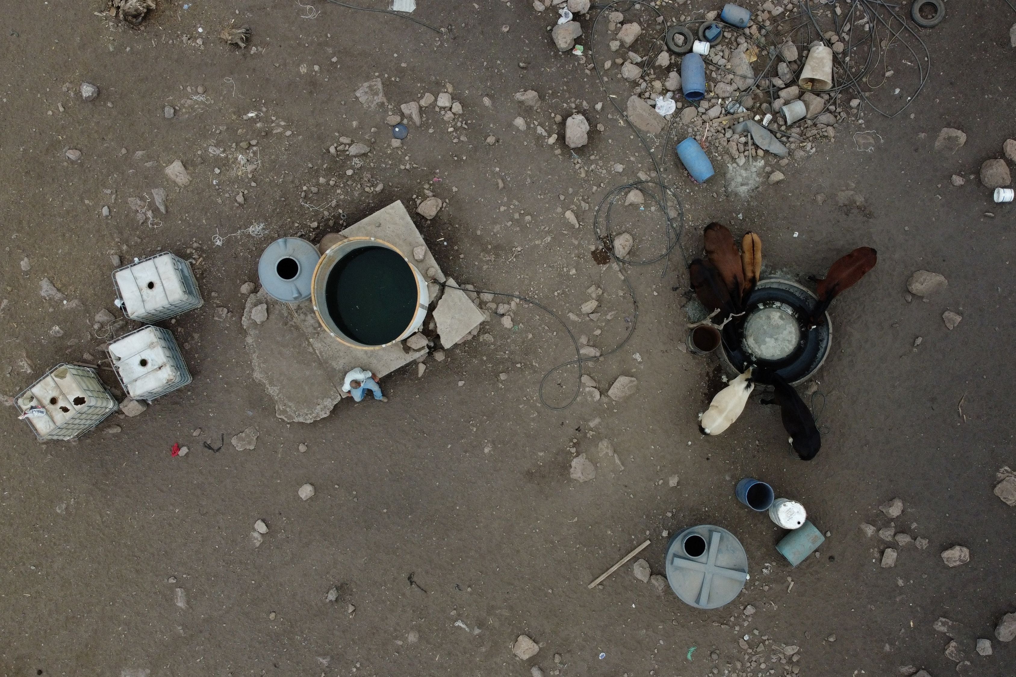 Segundo sits as he gives water to his horses