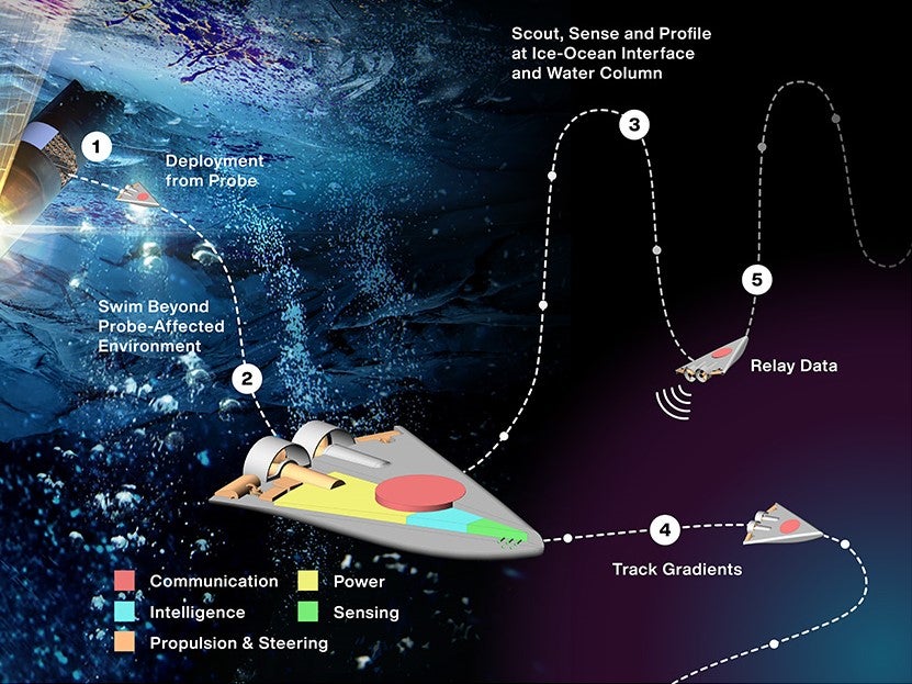 In the Sensing With Independent Micro-Swimmers (SWIM) concept, illustrated here, dozens of small robots would descend through the icy shell of a distant moon via a cryobot – depicted at left – to the ocean below. The project has received funding from the Nasa Innovative Advanced Concepts program