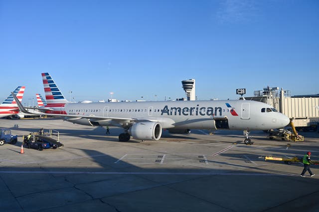<p>Incident unfolded aboard an American Airlines flight from Argentina to Miami </p>