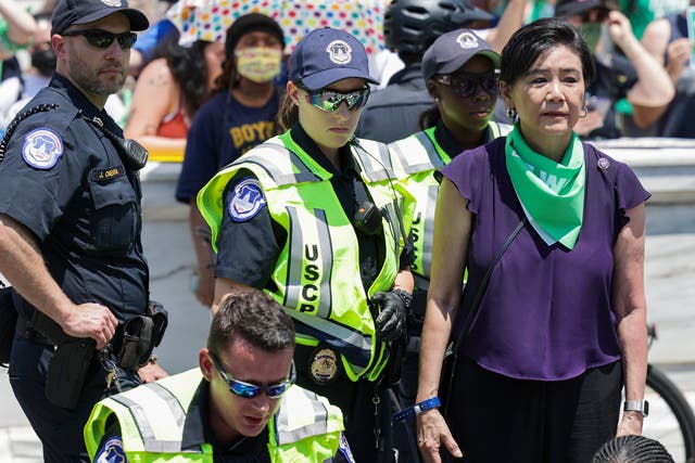 <p>Democratic US Rep Judy Chu was among 181 people arrested in Washington DC during abortion rights demonstrations on 30 June. </p>