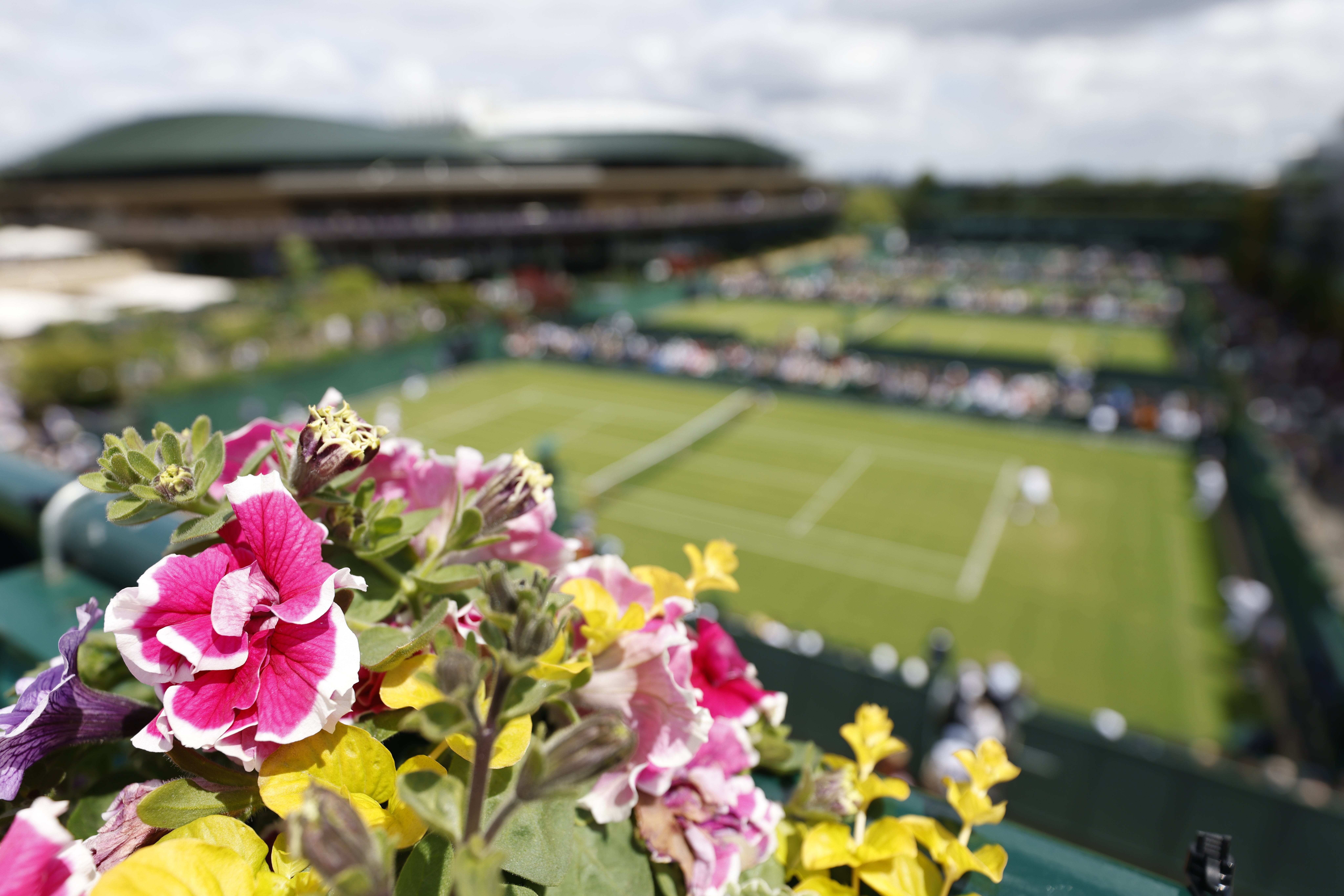 Bug hotel and electric vehicles among green developments at Wimbledon 2022  | The Independent
