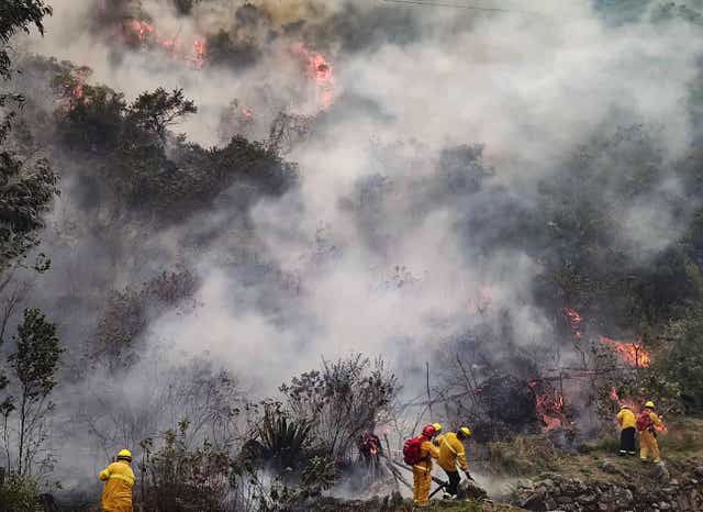 <p>Firemen work to put out a fire in the bush surrounding the ruins of Llamakancha, a sector in the archaeological site of Machu Picchu. </p>