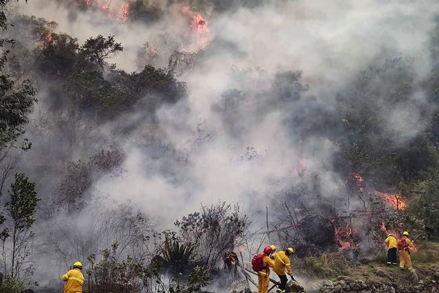 <p>Firemen work to put out a fire in the bush surrounding the ruins of Llamakancha, a sector in the archaeological site of Machu Picchu. </p>