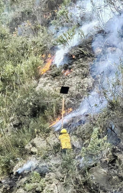 An emergency personnel worker battles a forest fire in Machu Picchu, Peru.
