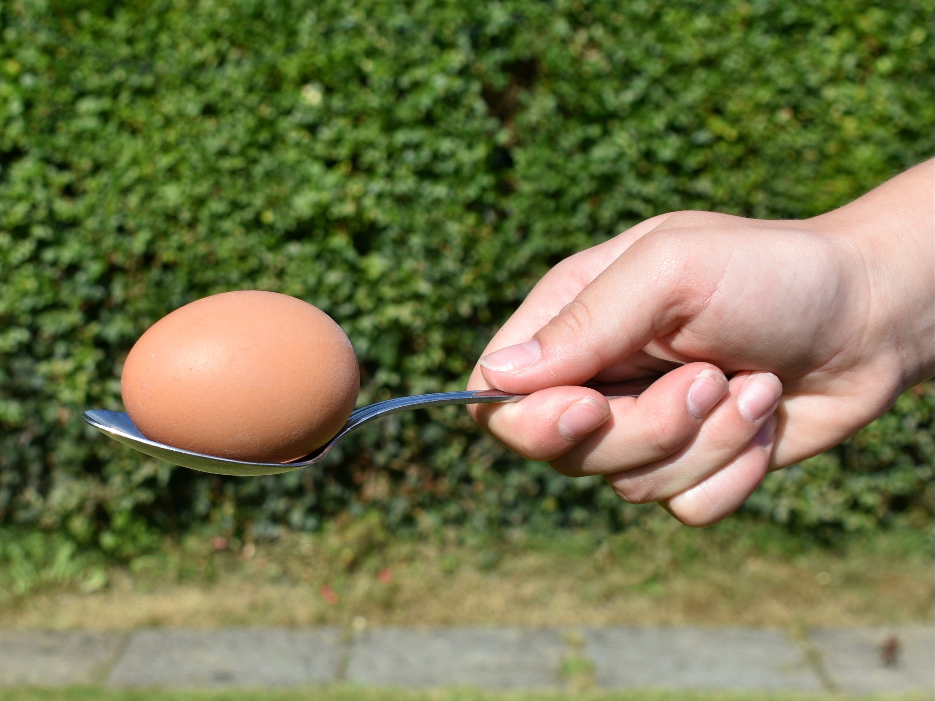 Please, please don’t force me into the egg-and-spoon race