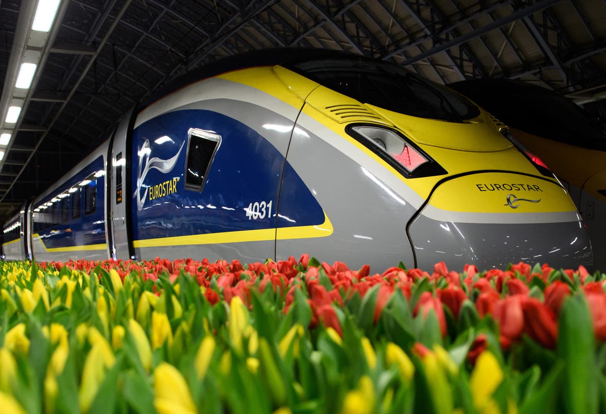 Eurostar boosts train services between London and Amsterdam