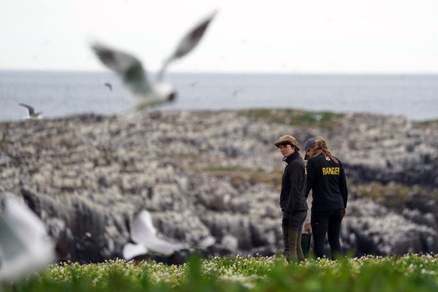 The National Trust has closed the Farne Islands to visitors due to a bird flu outbreak (Owen Humphreys/PA)