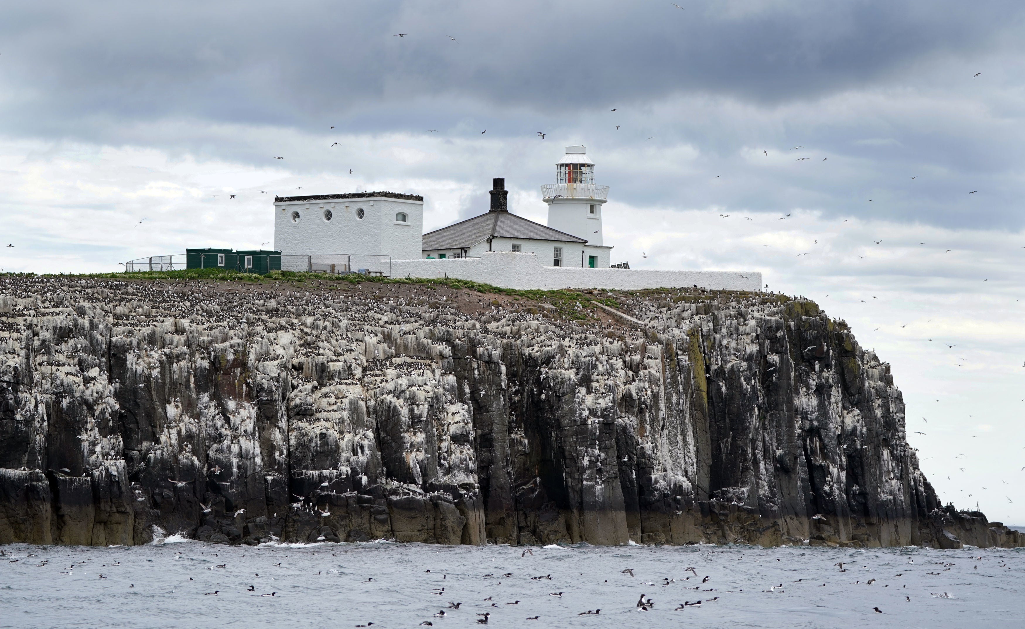 The Farne Islands usually attract 45,000 human visitors a year (Owen Humphreys/PA)