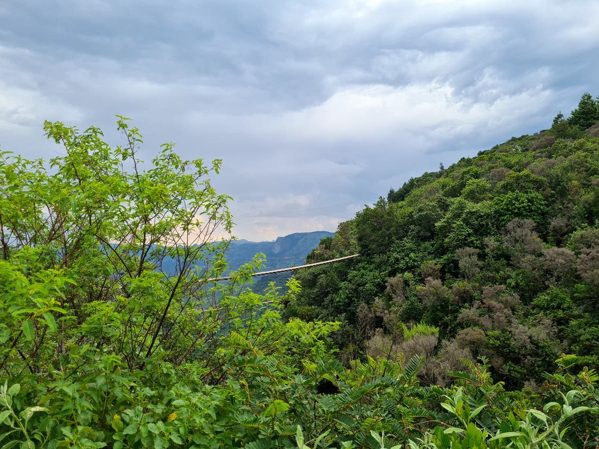 Rampant deforestation in Zimbabwe threatens biodiversity