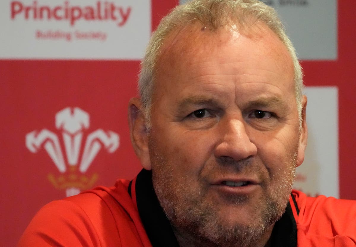 What time is South Africa vs Wales today?
