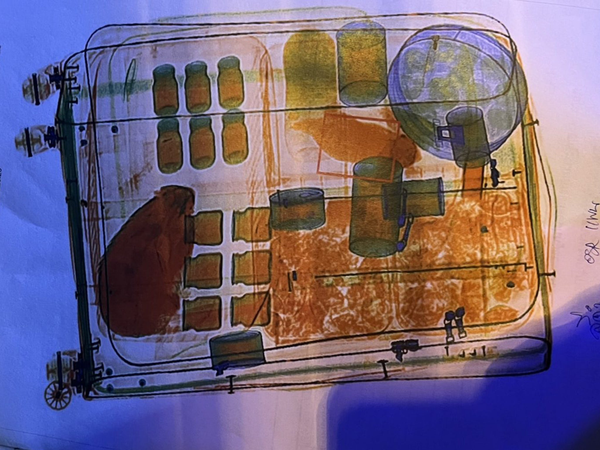 Rendering of X-ray of suitcase with animals inside