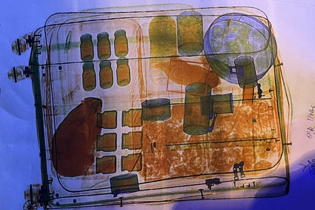 <p>Rendering of X-ray of suitcase with animals inside</p>