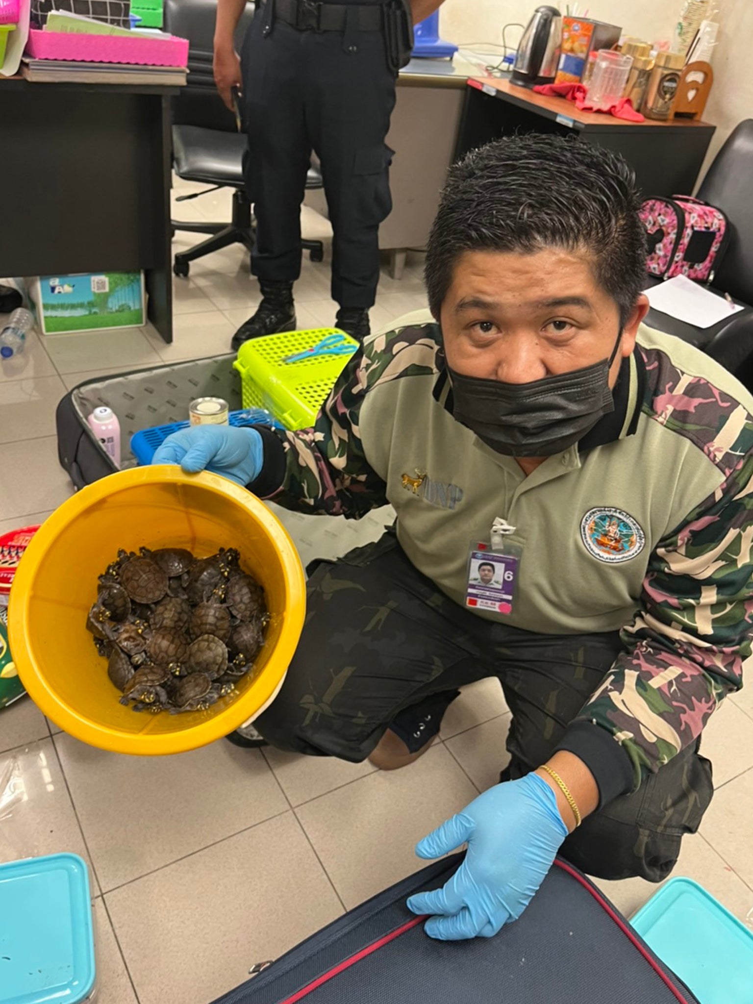 Wildlife official with turtles removed from luggage