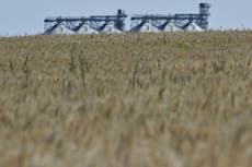 Turkey urged to detain Russian ship carrying Ukrainian grain