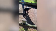 Police officer wrestles alligator back into river with bare hands