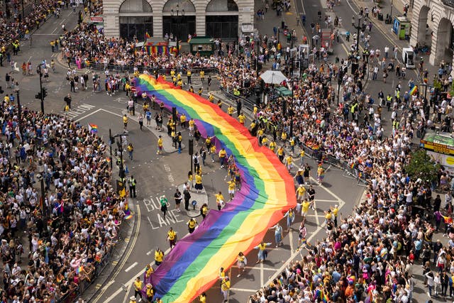 <p>This year's Pride in London parade, featuring Intersex-Inclusive Pride flags, designed by Valentino Vecchietti hanging above Regent Stree</p>